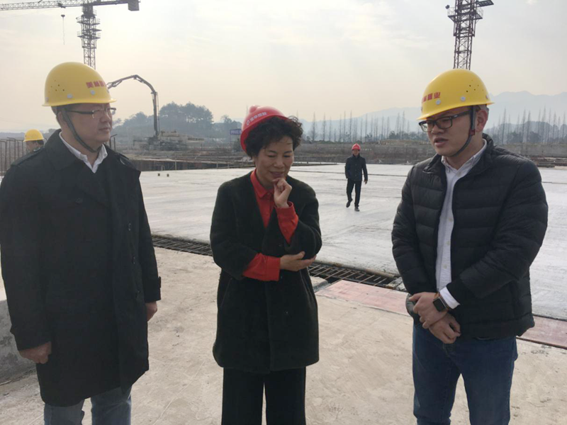 麗水市委常委、宣傳部長任淑女調(diào)研松陽美林·南城壹號項(xiàng)目