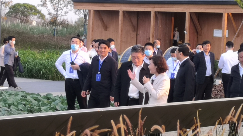 國家發(fā)改委黨組成員郭蘭峰、浙江省常務(wù)副省長徐文光一行調(diào)研浙農(nóng)嘉善萬畝水稻種植示范區(qū)