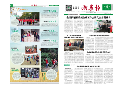 浙農(nóng)報2015年第11期（一、四版）